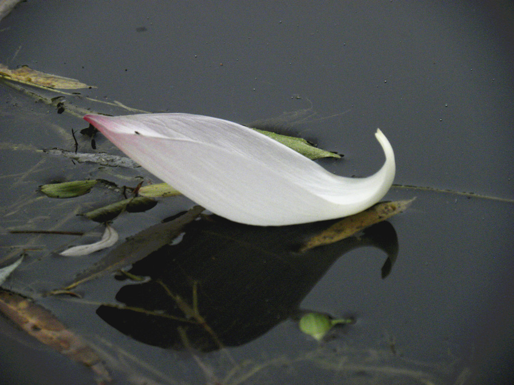 DSCN5425_���� (2).jpg