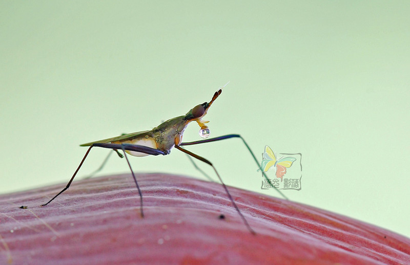 Recovered_JPEG Digital Camera_1492_����.jpg