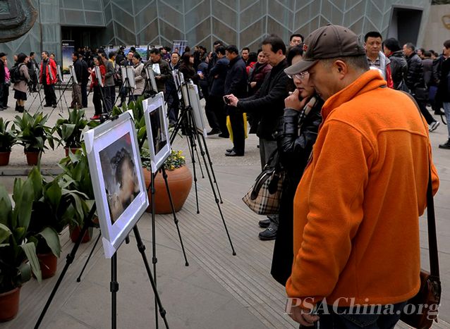 ��ǰ�ι�psa��Ա��2012����Ӱչ ����Ʒѡ��չ��.jpg