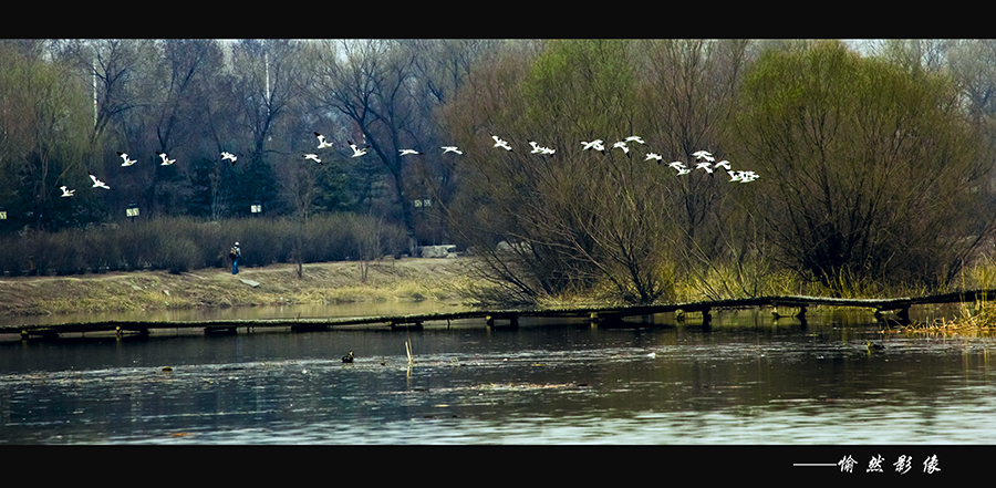 �ں�ʪ�ص���