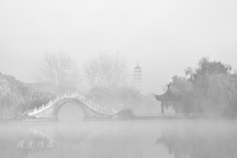 Pan-JM-24 bridge morning fog-xc1.jpg