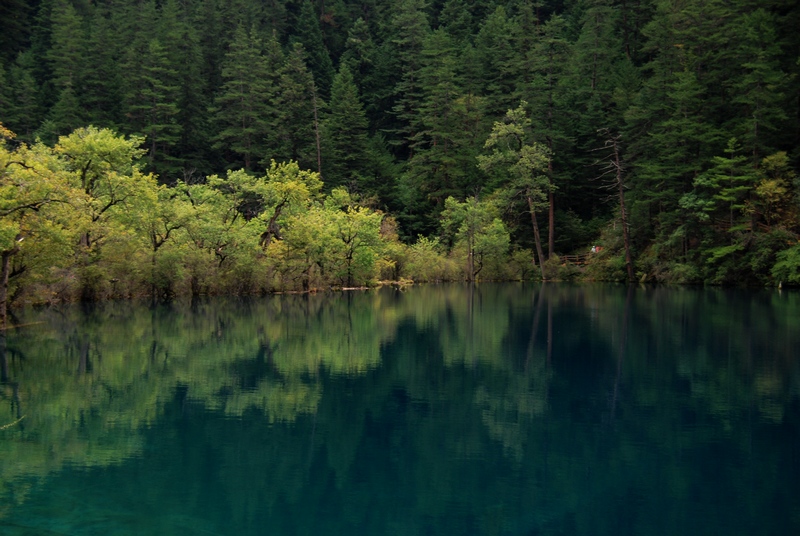 ��կ�����