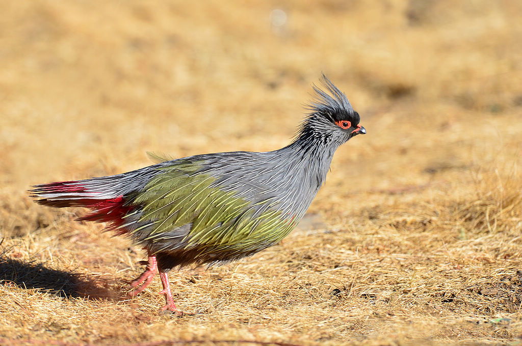 222DSC_6629   222.jpg