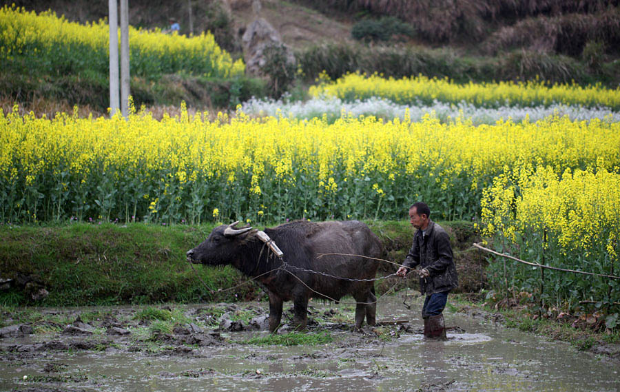 ���ڴ��� (3).jpg