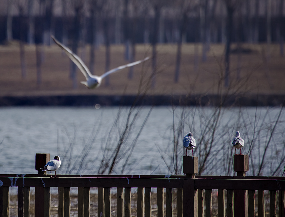 ̫ԭ�ں�ʪ�ع�԰