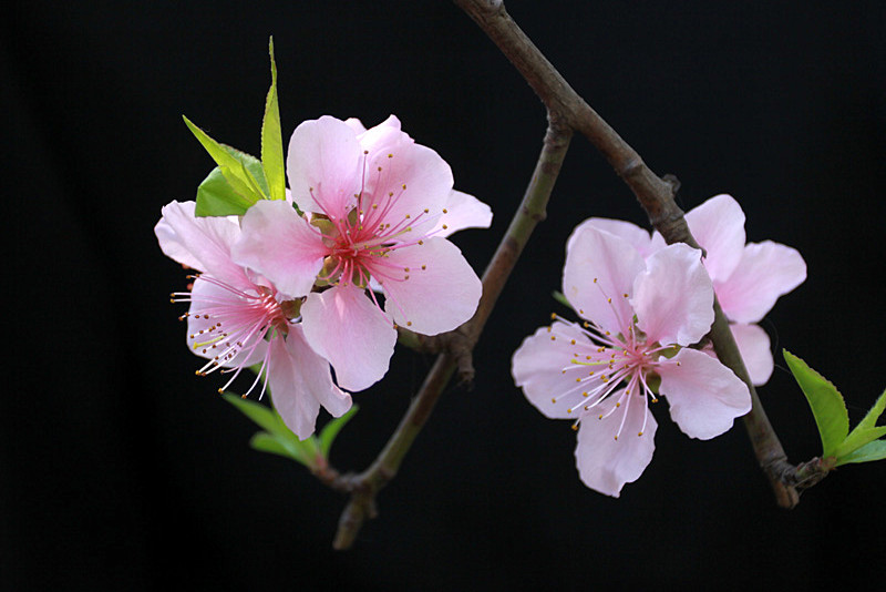 �һ���Ƭ 054_����.jpg