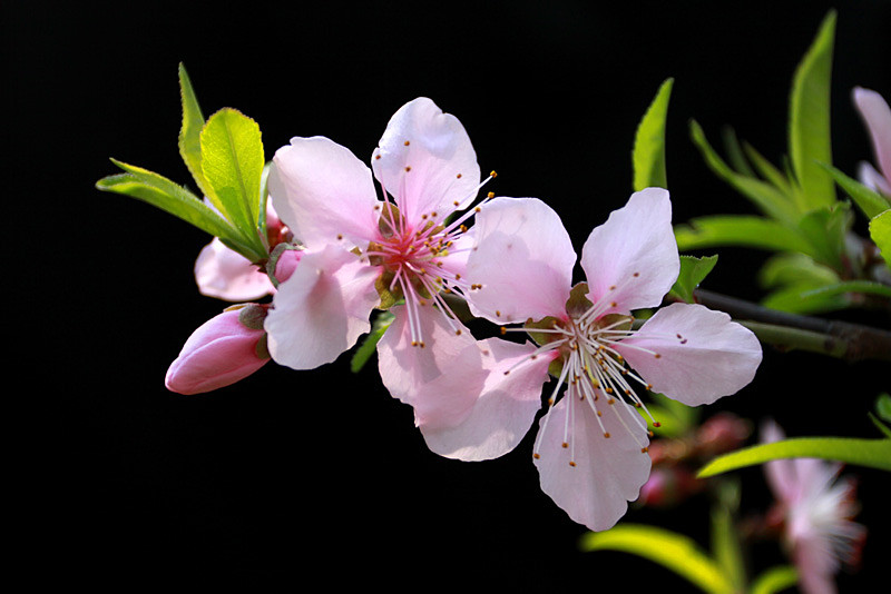 �һ���Ƭ 059_����.jpg