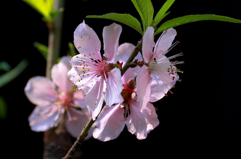 �һ���Ƭ 065_����.jpg