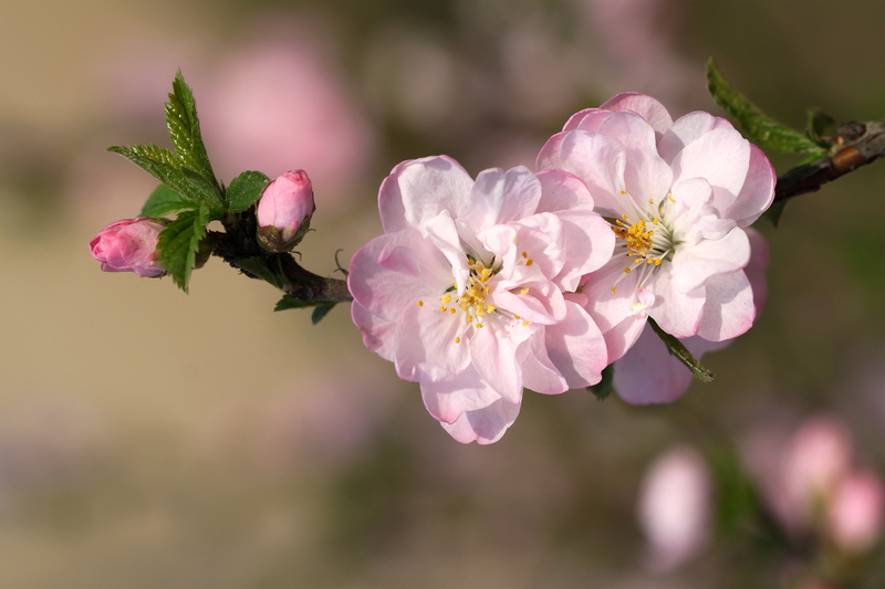 IMG_0181 ���� ��.jpg