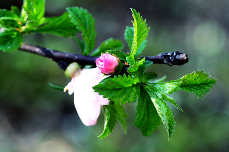 IMG_0183 ���� ��.jpg