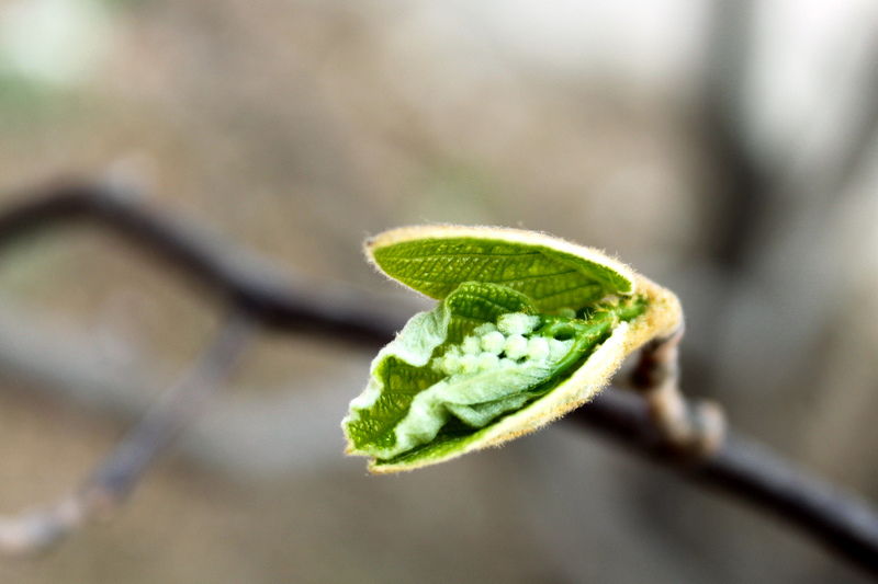 IMG_9992 ���� ��.jpg