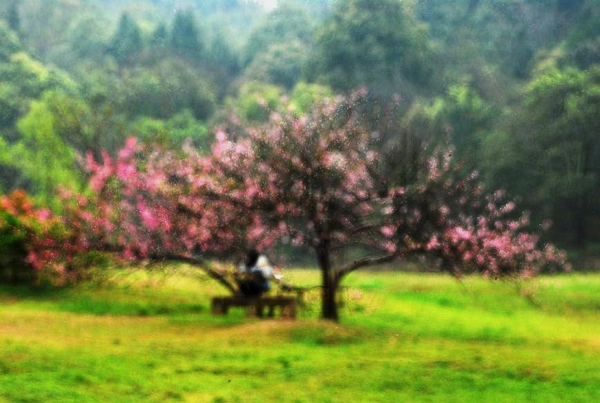 DSC_0487 - ����.JPG