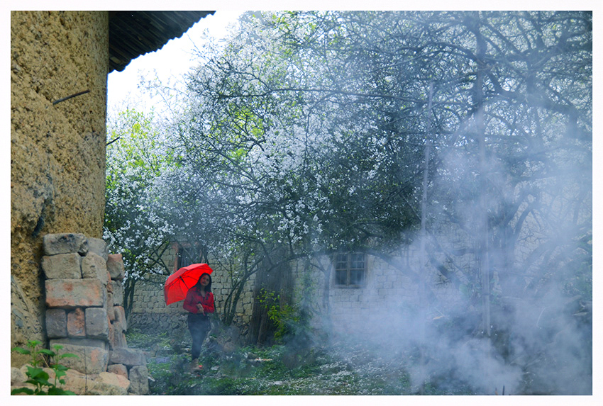 ������Ӱ (4).jpg