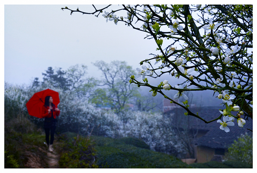 ������Ӱ (6).jpg