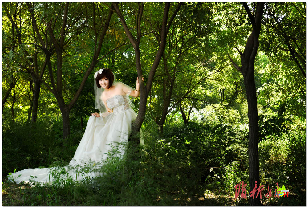 ���������