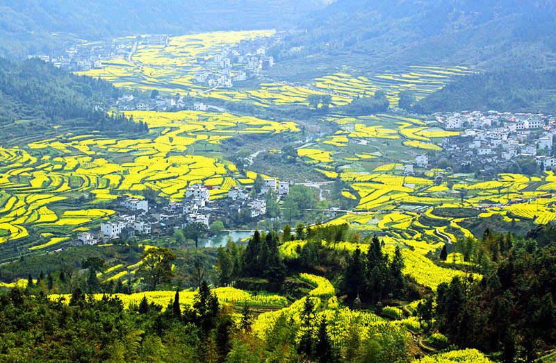 ��Դ��Ƭ��5�� .jpg