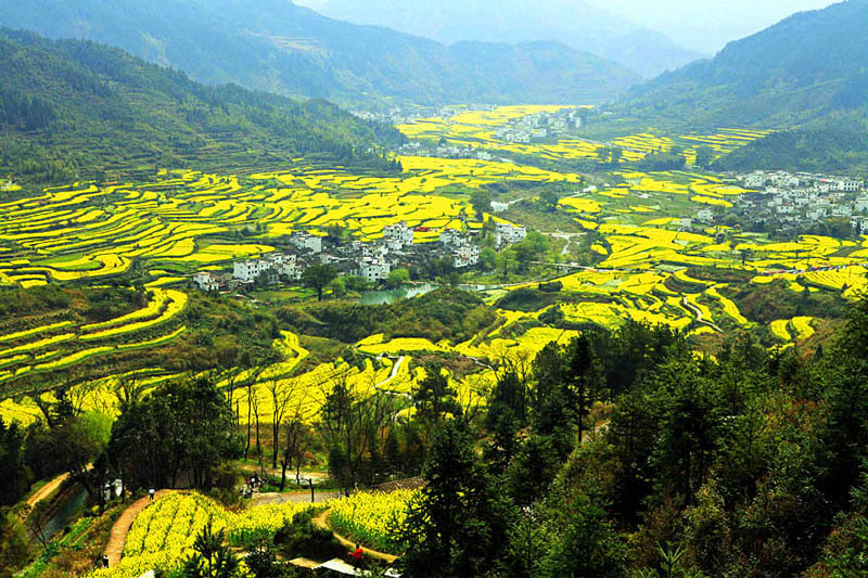 ��Դ��Ƭ (4).jpg