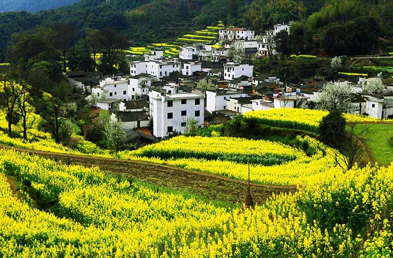 ��Դ��Ƭ (3).jpg