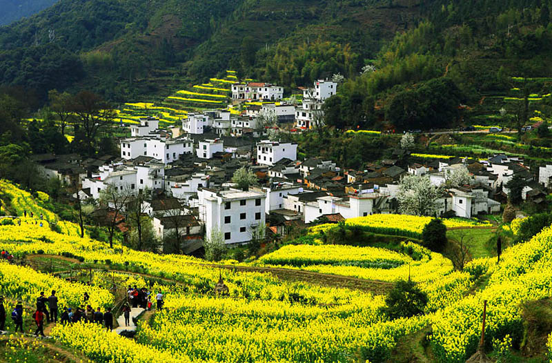 ��Դ��Ƭ (2).jpg