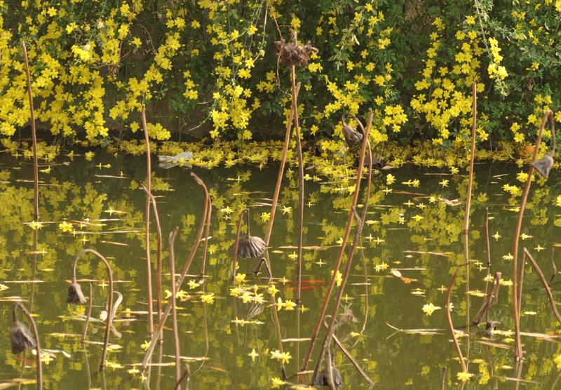 ӭ������ˮ�ر�