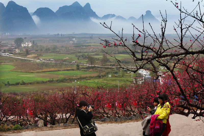 �һ�԰�����һ�