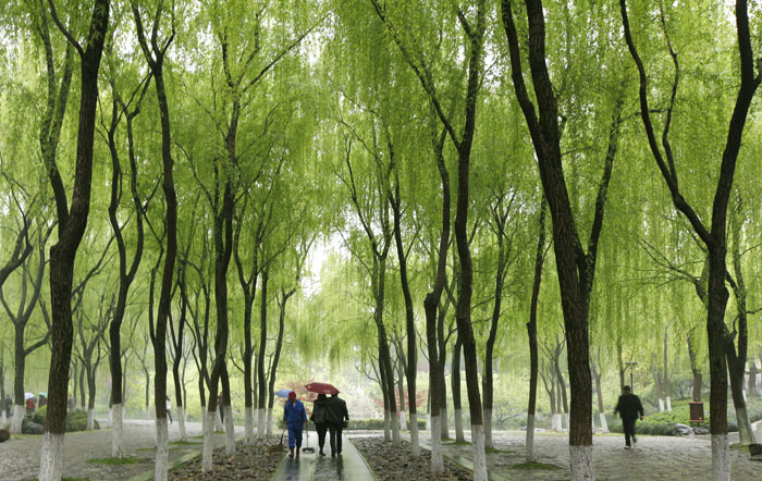 �������Ӻ�