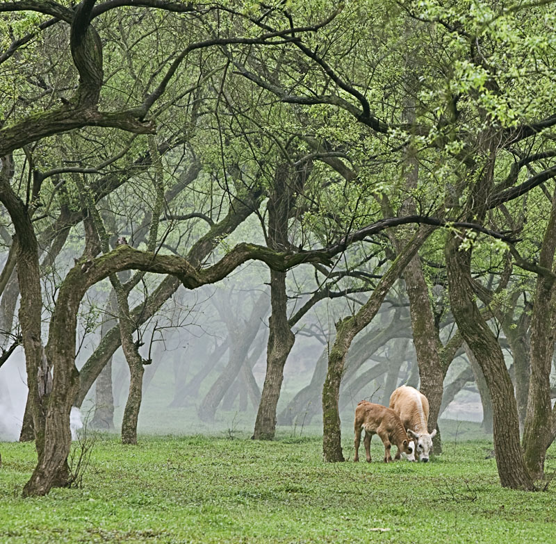 �����ֵĴ���