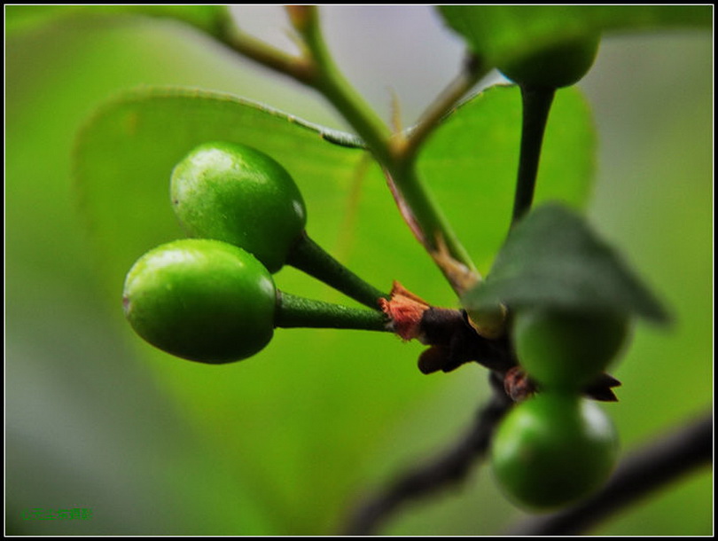 �ھ��ֵ�ӣ������ʵ��