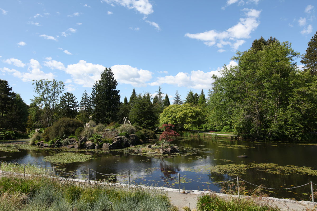 ���ô��¸绪�羰ɫ������������