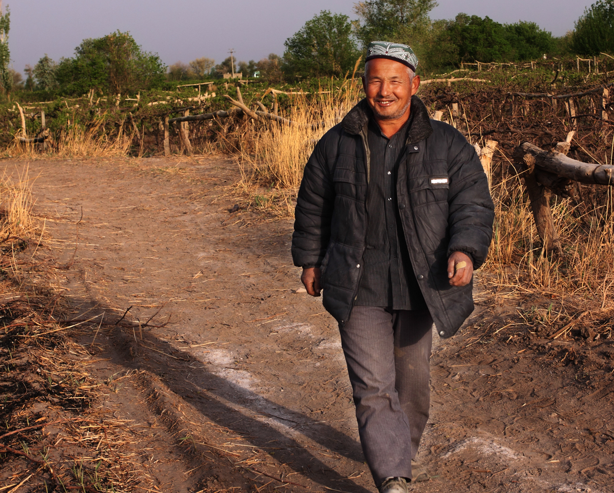׼�������ѵص�ũ��