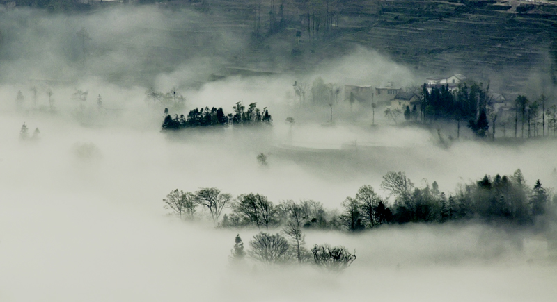 Ԫ������