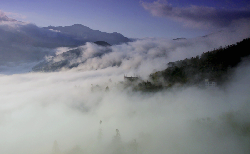 Ԫ������