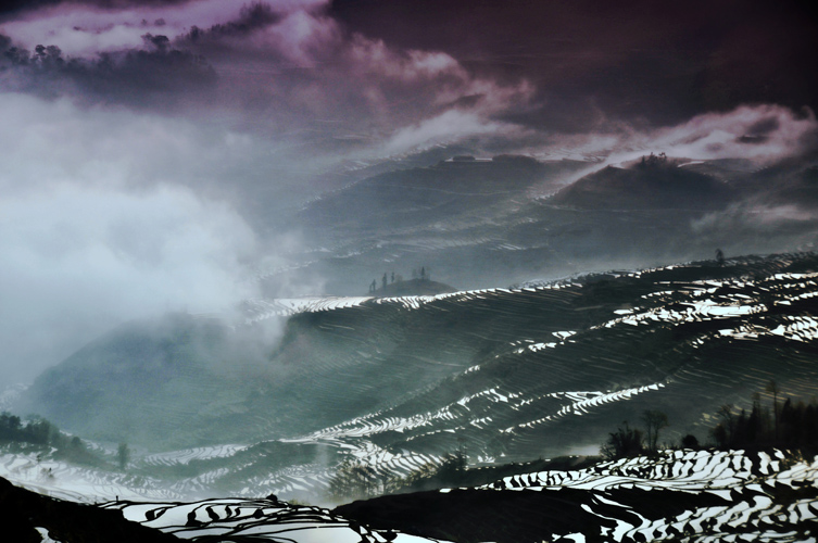 Ԫ������