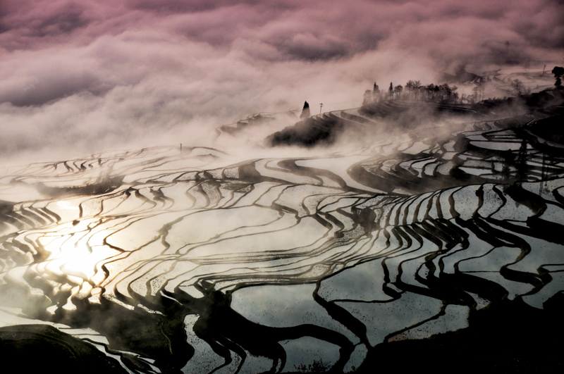 Ԫ������