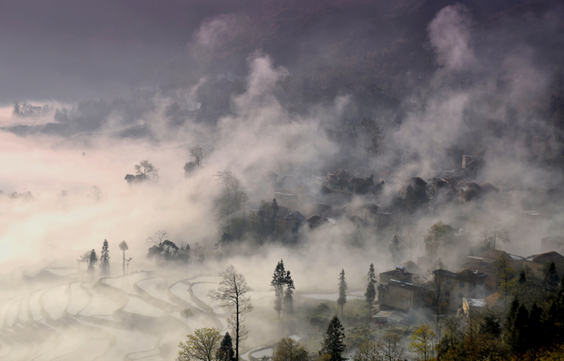 Ԫ������