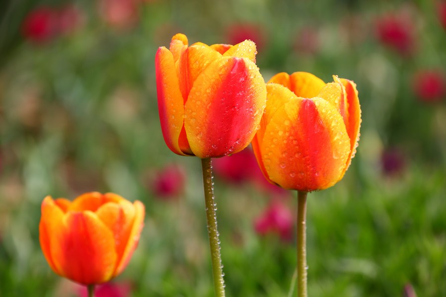 ������ (6).jpg