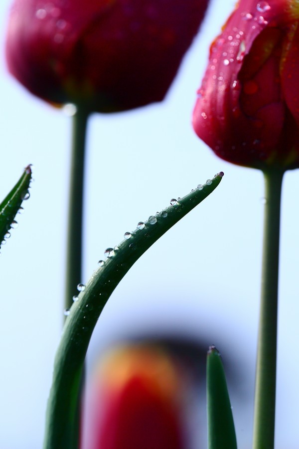 ������ (7).jpg