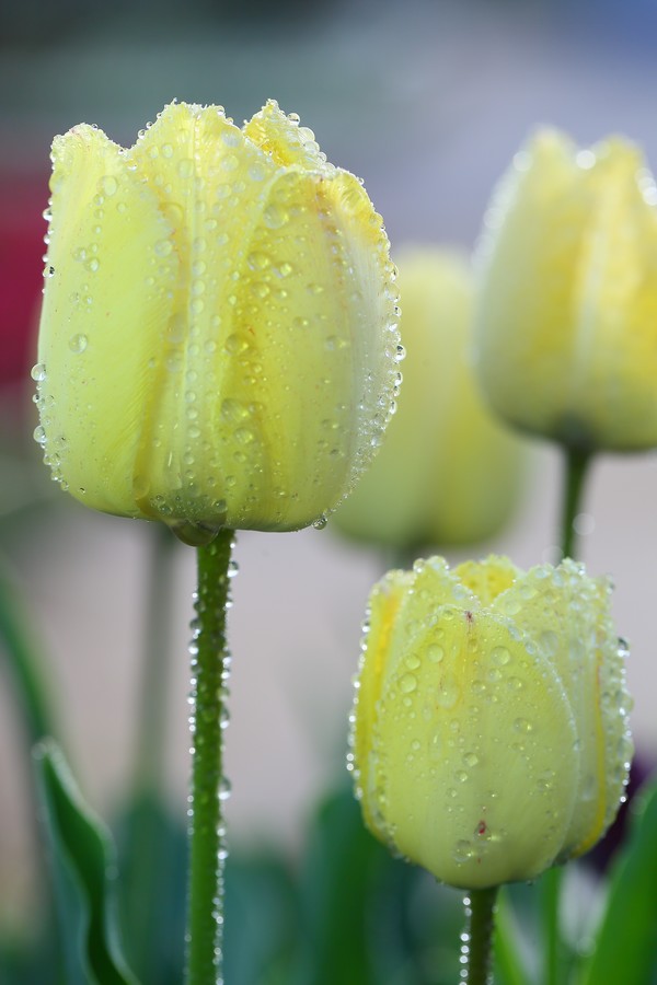 ������ (9).jpg