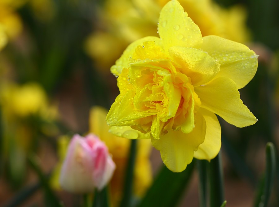 ������ (11).jpg