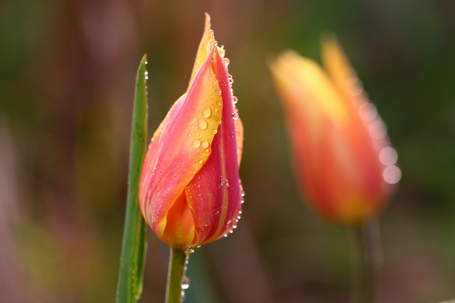 ������ (13).jpg