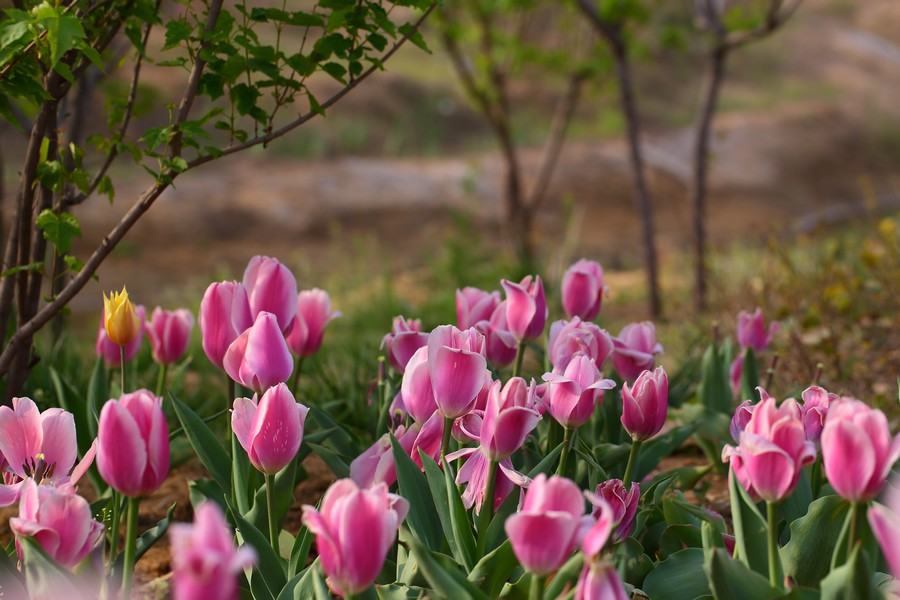 ������ (12).jpg