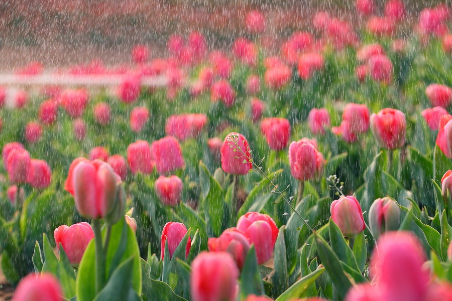 ������ (16).jpg