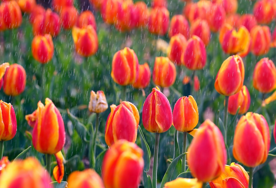 ������ (19).jpg