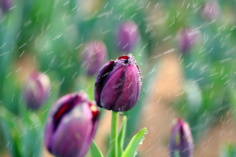 ������ (24).jpg