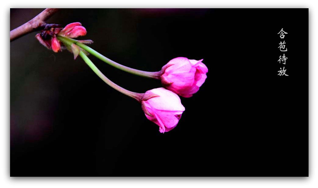 ӣ����Ƭ 033_����.jpg