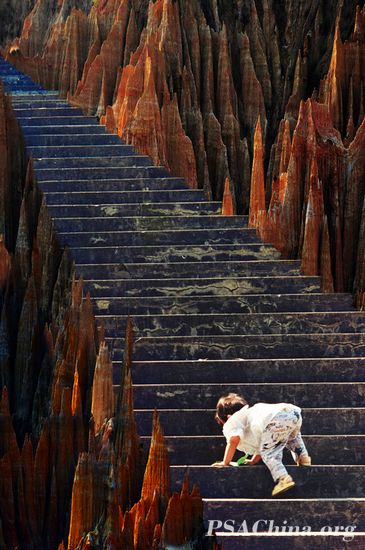 ��־����Ʒ������֮����(life begin).jpg