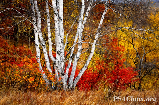 ��ѧ����Ʒ���������ɫ�ʡ�(Autumn colors).jpg