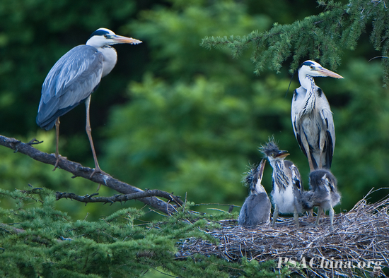 ¦������Ʒ����һ���ס�(Happy Family).jpg
