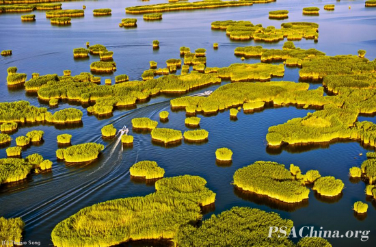 ��־����Ʒ����Ϧ����˼����(Acacia lake sunset).jpg