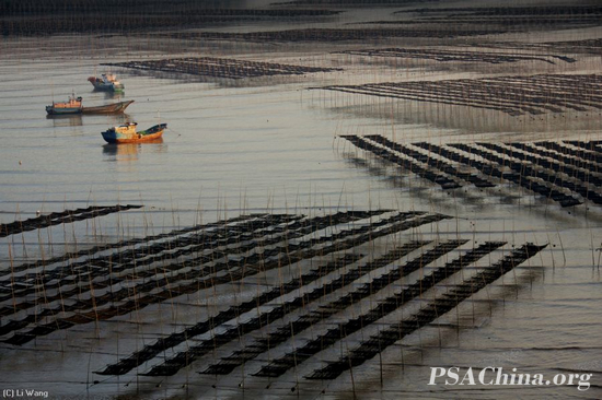 ������Ʒ����̲Ϳ����(��)��(Tideland Sunset).jpg